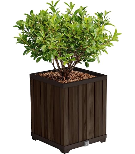 Amazon.com : vidaXL Garden Planter Solid Pinewood | Large Capacity